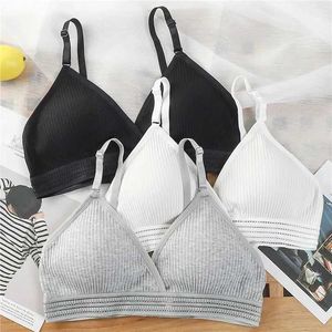 Mbiancazione attiva Donne Yoga Sport Sports Bras Triangle Cup In biancheria intima Fe Tubo avvolto Top Top Sexy Beauty Back Restro imbracatura regolabile D240508