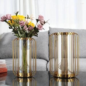 Vasi di fiori Vasi di fiori semplice semplice vetro dorato pianta idroponica di ferro geometrico Terpa metallica metallica