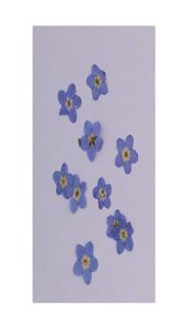 30 штук Natural ForgeMenot настоящие высушенные цветы украшения для ногтей аксессуары для дефекта