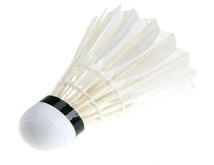 NEU BALL GAME Sport Training White Gans Feather Shuttlecocks Birdies Badminton 70 Speed1191411