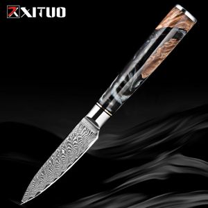 Xituo Paring Knife 3,5 tum Damaskus liten kökskniv japansk VG-10 stålfärgad korrosionsbeständig fruktskalande kniv