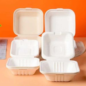 Loucarias descartáveis Bolo de 5 peças e caixa de sobremesa Microondas Biodegradable Dispositável Almoço Recipiente de Alimentos Salada de Vegetas Pacote de Takeaway Q240507