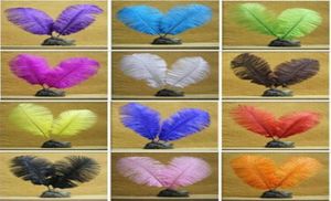 11 Farben Weiß schwarzer Strauß Federn Federn DIY Schmuck flauschiger Strauß Federhochzeitsfeier Trim Boa Dekor 100pcs 68quot 1598463412154