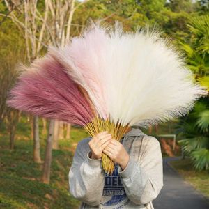 Decorative Flowers Wreaths Small Artificial Pompas Grass Decor for Vase10PCS Faux Pampas Grass BeigeFake Fluffy Floral for Wedding Boho Decor fleur