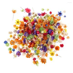 Flores decorativas 200pc Real seco para DIY Art Craft Epóxi Resina Velas fazendo jóias