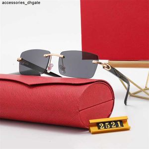 2024 New Womens Loweless Lradient Trend Pink Metal Sunglasses 2521