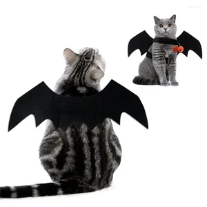 Costumi di gatto Halloween abiti da compagnia materiali di alta qualità arancione facile da indossare un design unico perfetto per adorabile