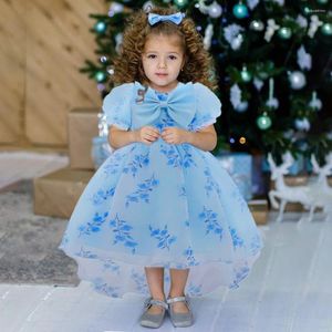 Girl Dresses Toddler Flower Baby for Girls Tulle Trailing Fashion Wedding Princess Dress Kids Birthday Party Gown Abiti estivi