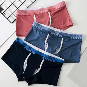 Underpants Men Intwear Boxer per elefanti da uomo con tasche a palla Mesh traspirante per la seta per patchwork Design del colore patchwork