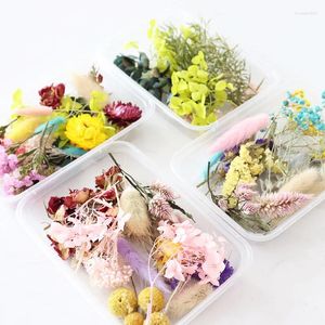 Decorative Flowers Boxed Real Dried Flower Dry Plants Home Wedding Decor Accessories DIY Craft Supplie Candle Epoxy Making