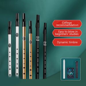 Инструменты 1pc 6 отверстие флейта C/D Ключее Ирландское свистка Ирландия Tin Penny Whistle Metal Flute Instram