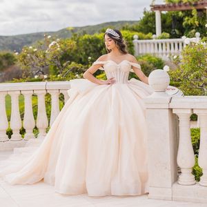 2024 Light Champagne Shiny Quinceanera vestido de vestido Ball Robe Sweet 16 Dress Fishs Crystal Bridal Vestes Vestidos 15 De Novia