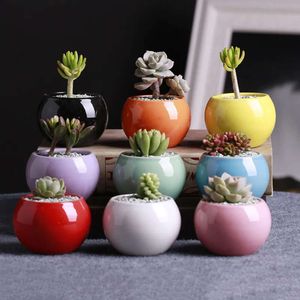 Pot Succulents Ceramic Small Flower Pots Ball Round Porcelain White Color Mini Creative