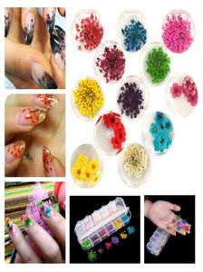 3D Nail Art Dried Flowers Sticker Natural Real Preserved Floral Stickers Manicure Decals DIY Tips Polish Decorations 12PCS3310921