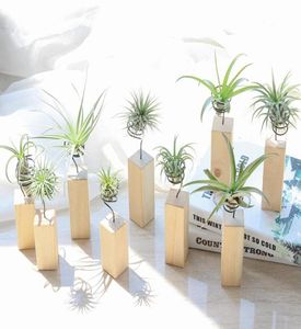 Garden Decorations Iron Air Plant Stand Container Tillandsia Holder Tabletop Pot Display Rack Vase with Wooden Base XB12943990