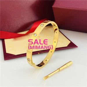 Designer Love Bangel Vite Bracciale Braccialetti oro Bracciale Gioielli Cuffia da cacciavite in oro 18K Bracciale in oro