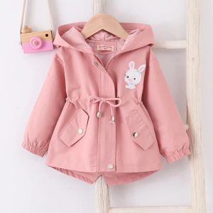 Sets Sets Sets 17 Jahre Baby Girls Jacke Frühlings- und Herbst Casual Windbreaker Kids Oberbekleidung Süßes Kaninchen Kapuze Baby Coat Kinder Kleidung Vorhang