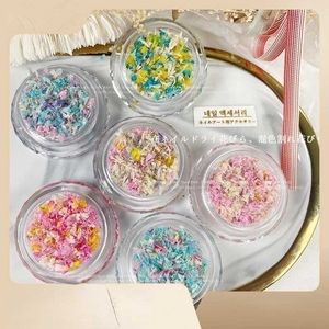 Decorações de gel de unha Flores de cores misturadas secas a jóias DIY trituradas Pétalas reais Modelos de Ultra-Thin q240507