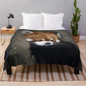 Одеяла красная панда бросить одеяло одеяла для проездной кровать кровать