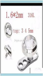 Plugs Jewelryplugs Tunnels 316L Stainless Steel Skin Diver Piercing Micro Dermal Jewelry Body Drop Delivery 2021 5Lxsk9881614