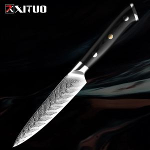 Paring Knife 5 tum Liten kök Knife Damascus Steel Utility Knife G10 Hantera fruktkniv för att klippa fruktskalande kniv