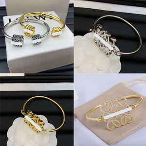 Loe Series Designer Geometry Charm -armband för kvinnliga örhängen Guldkumpa glittrande med diamanter armband smyckesfest mors dag gåva