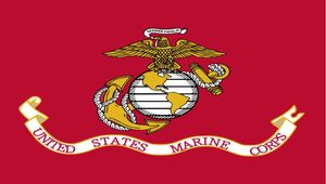 NEW 3x5 feet united states of american army USMC marine corps flag9344783