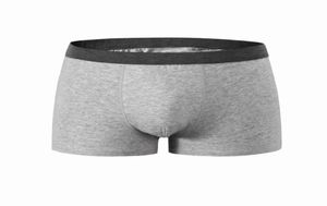 Män underkläder Boxer Briefs mjuka bekväma underbyxor bambuviskos underkläderstammar5620858