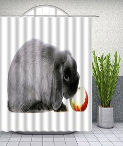 Śliczne szary królicze zasłony prysznicowe zabawne zwierzę jeść jabłko w łazience w łazience wodoodporna zasłona poliestrowa z haczykami tanio1824028