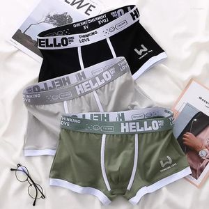 Underpants Men Mutandine Cotone Boxershorts Man Underwear Mens Boxer traspirante U maschio convesso sexy plus size cuecas calzoncillos