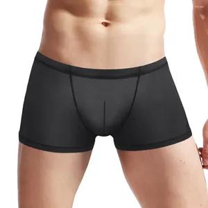 Underpants 1PC Feste Farbe Herren -Transluzenz Boxer Shorts Mesh Boxer Trunks Jockstrap -Beutel Unterwäsche Männliche sexy Dessous Höschen