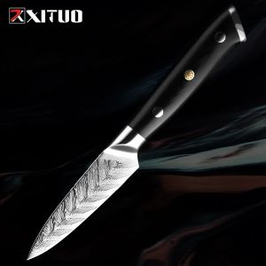 Coltello da riferimento da 3,5 pollici damasco piccolo coltello da cucina giapponese VG-10 in acciaio G10 manico a corrosione coltello da frutto resistente alla corrosione