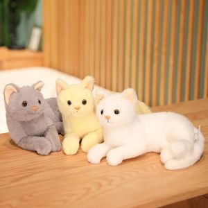 30 Zentimeter niedliche Plüsch -Katzenpuppe mit simuliertem Füllung tierischer Plüsch -Lebensspielzeug für Kinder und Mädchen Geburtstagsgeschenk in 3 Farben 240426