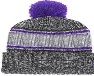 2019 Autumn Winter Hat Sports Hats Custom Sticked Cap med Team Logo Sideline Cold Weather Knit Hat Soft Warm Minnesota Beanie SKU8884123