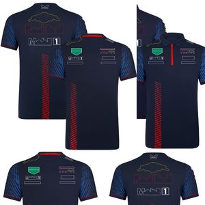 2024 F1 Team Racing T-shirt Formel 1 Driver Polo Shirts T-shirts Motorsport Nya säsongskläder fans toppar herrtröja plus storlek