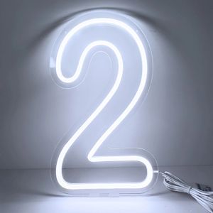 Large Neon Numbers 1 2 3 4 5 6 7 8 9 0 Sign for Birthday Wedding Party Decor 38cm High Number Led Light Signs USB Powered 240429