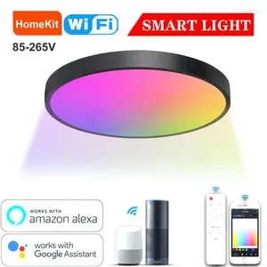 Taklampor Modern Led Tuya Smart App Alexa Voice Remote Control Inomhuslampa för sovrum vardagsrummet Kök Ljus fixtur