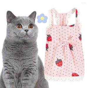Костюмы кошек для собачья костюм хлопок клубничная печь для подвесной юбка для питомца дружелюбная для кожи супер мягкие одежды принадлежности