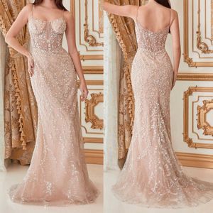 Classic Evening Dresses For Women Spaghetti Strap Sleeveless Gowns Feather Appliques Backless Dress For Prom Party Custom Made