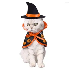 Trajes de gato Halloween Pet Small Dog Kitten Puppy Cape for Cats Dogs Dogs Chihuahua Clothes Acessórios Presente