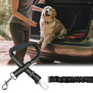 Hundeträger Sicherheitsgurt reflektierende elastische Blei -Welpe -Reise -Auto -Sicherheitsseil Haustier -Clip -Traktion für kleine große Hunde