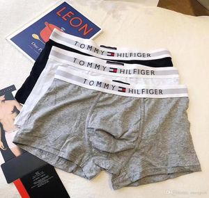 a1 Men039s underwear seagull cotton Underpants shorts breathable soft multicolor husband fashion boxing short Available in mult1691905