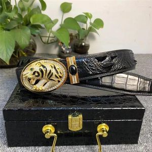 Cintos autênticos verdadeiros verdadeiros crocodilo designer de leopardo diamante fivela de aço de aço masculino de cintura masculina jacaré genuíno de couro