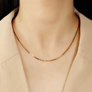 designer OEM Bounce Di Fashion Necklace Octagonal Snake Bone Chain Womens Minority Korean INS Style Electroplated Gold Plated Luxury Necklace X8F4
