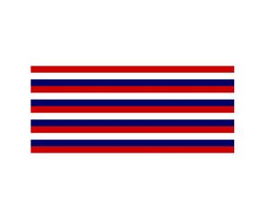 Флаг 3x5ft Flag of Fort Mifflin Дешевая цифровая печать полиэфирная ткань Все страны наружная внутренняя часть использования в помещении 4049455