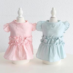 Hundkläder rosa blå färger xs-xl storlekar dubbelskikt spetsklänning prinsessan kläder husdjur för våren och sommaren 2024