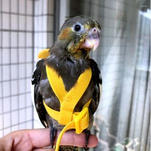 Other Bird Supplies Parrot Flying Harness Leash Suit Pet Outdoor Flight Training Rope Cockatiel Macaw Accessories Stuff For Budgie