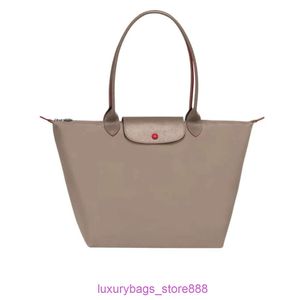 Дизайнерские сумки магазины со скидкой 95% с высокой версией French Classic Womens 70th Anniversary UnderArm Ploudmbing Sudbag totewxyr