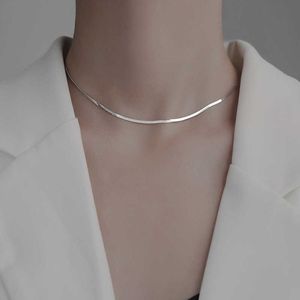 Designer Sterling Silver Flat Snake Bone Chain Ins Cool Wind Blade Chain Fashion Halsband Kvinnlig Choker Collarbone Chain Jewelry 42V4