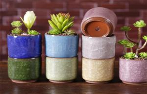 Gelo rachado mini panela de flor de cerâmica colorida fofa florpot de flor para decoração de mesa plantas em vasos de carne DC9419986725